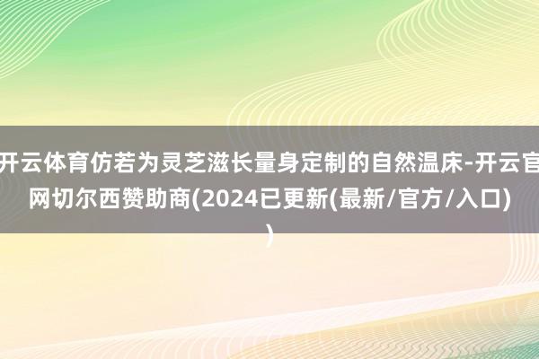 开云体育仿若为灵芝滋长量身定制的自然温床-开云官网切尔西赞助商(2024已更新(最新/官方/入口)