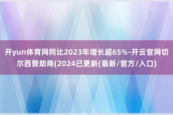 开yun体育网同比2023年增长超65%-开云官网切尔西赞助商(2024已更新(最新/官方/入口)