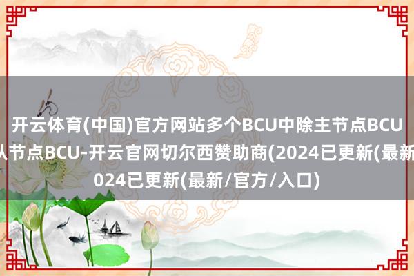 开云体育(中国)官方网站多个BCU中除主节点BCU外的BCU为从节点BCU-开云官网切尔西赞助商(2024已更新(最新/官方/入口)